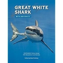 Great white shark. Myth and reality