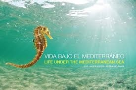 Vida bajo el mar Mediterráneo = Life under the Mediterranean sea