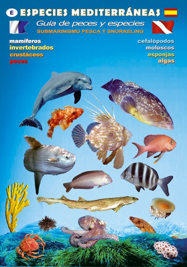Desplegable especies mediterráneas. Guía de peces y especies "Submarinismo, pesca y snorkeling"