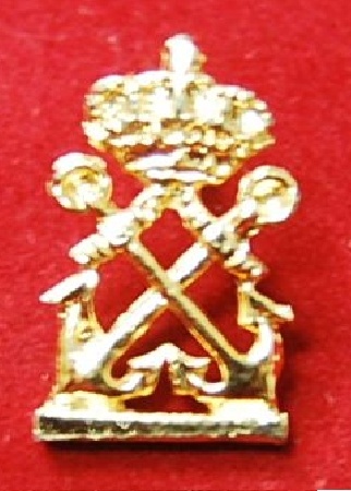 Pin de Patrón de Embarcaciones de Recreo oro.