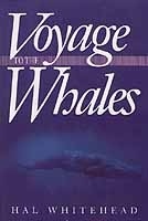 Voyage Whales