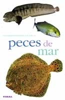 Peces de mar. Naturaleza. Animales acuáticos