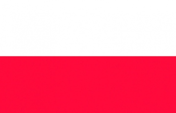 Bandera Polonia 30x45 cm.