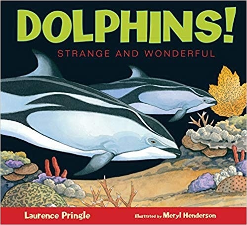 Dolphins! Strange and Wonderful