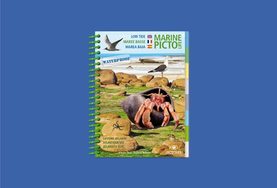 Marine PICTOLIFE Marea Baja