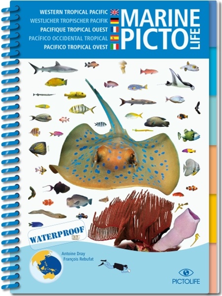 Marine Pictolife Pacífico asíatico (Occidental tropical)