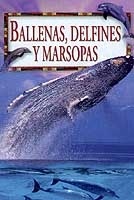 Ballenas, delfines y marsopas