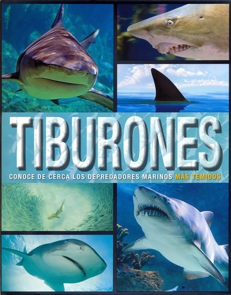 Tiburones. Conoce de cerca a los depreradores marinos más temidos