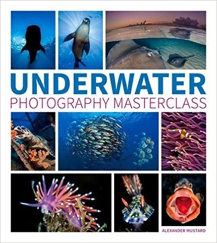 Underwater photography masterclass