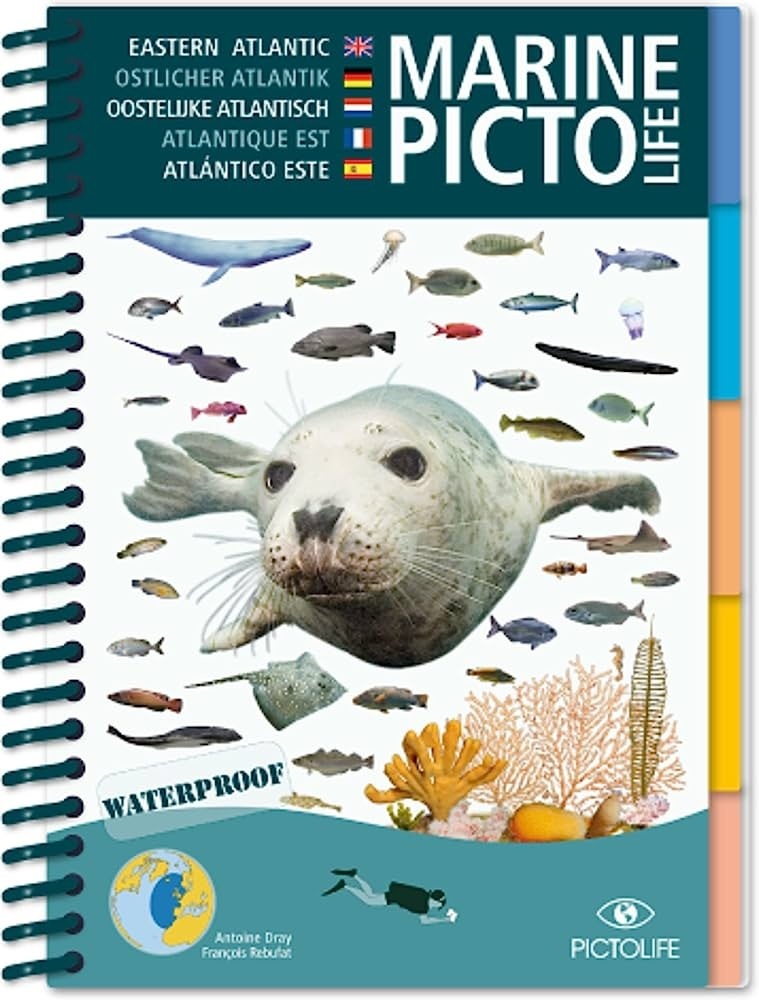 Marine pictolife Atlántico este