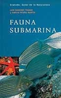 Fauna submarina