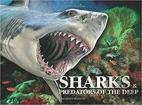 Sharks & Predators of the Deep