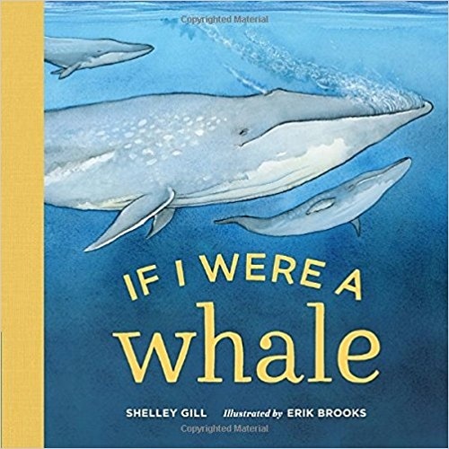 If I Were a Whale