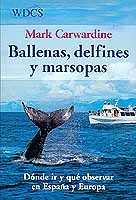 Ballenas, delfines y marsopas. Dónde ir y qué observar en España y Europa