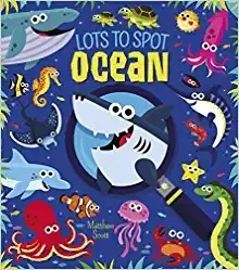 Lost to Spot: Ocean