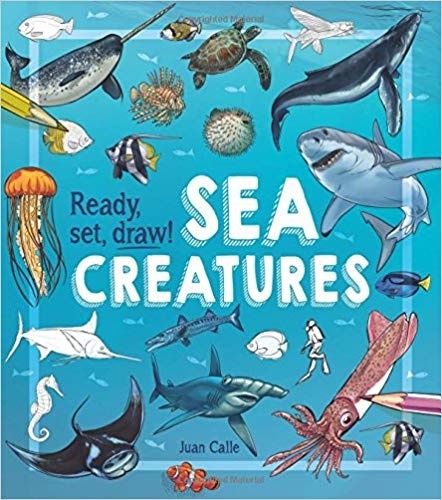 Sea creatures. Ready, set, draw!