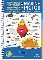 Marine Pictolife. Macaronesia