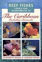 Reef Fishes Corals and Invertebrates of The Caribbean  Including Bermuda.