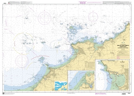 7310 - Baie de Saint-Brieuc (partie Est) - De Dahouët au Cap Fréhel "1:25000"